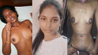 Telugu Horny Mallu Girl Painful Sex – Telugu Mallu Porn