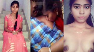 Desi Telugu Mallu Couple – Inside Car Sex Vdo